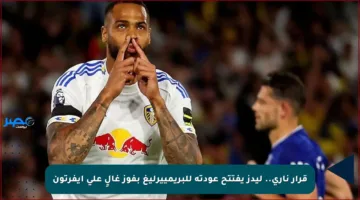قرار ناري.. ليدز يفتتح عودته للبريمييرليغ بفوز غالٍ على إيفرتون